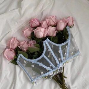 For Love and Lemons X Vs Charlie Corset